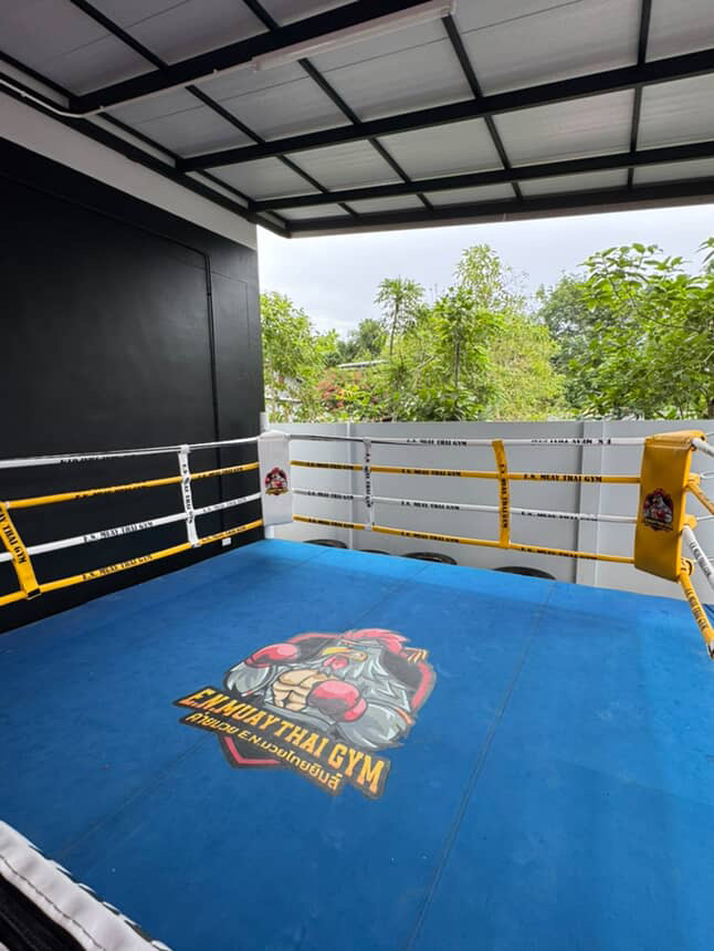 Training ring